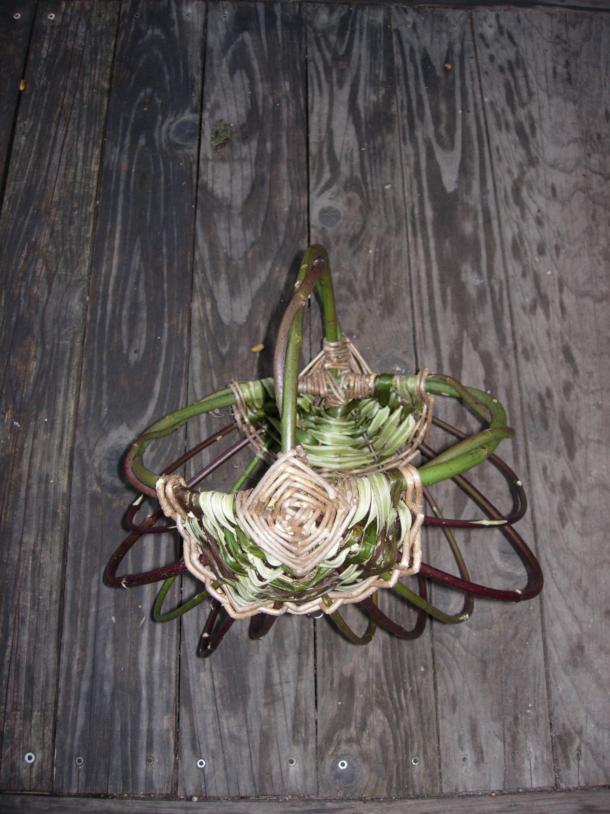 wild basketry